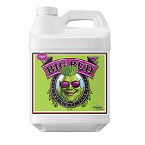 Stimulator Advanced Nutrients Big Bud Liquid 0.25 l в магазине Growvit.ru